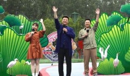 王琳长号最新爆料视频,最新爆料视频深度解析