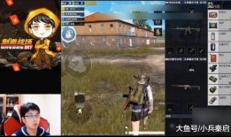 壮哥爆料吃鸡视频大全最新